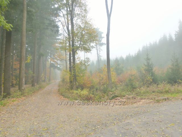 Lichkov - mlha na rozcestí na úpatí vrchu Bouda