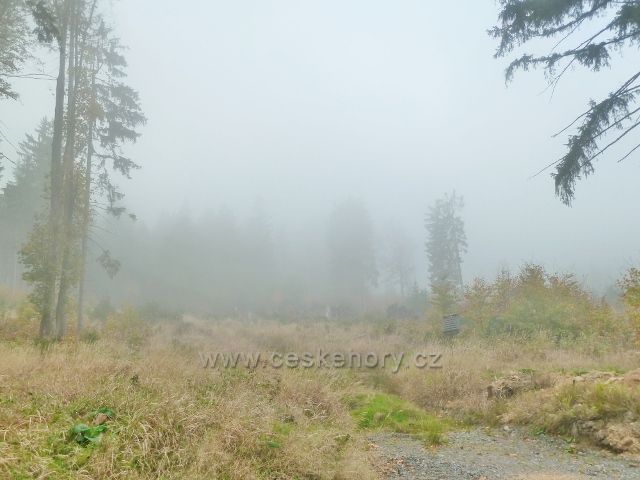 Lichkov - mlha na úbočí vrchu Vysoký kámen