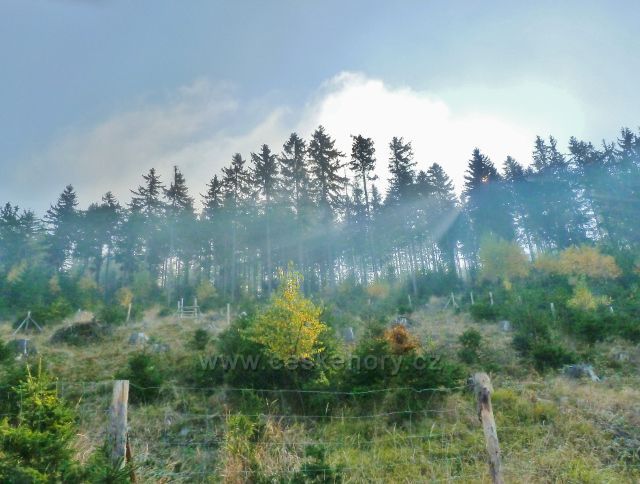 Mladkov - sluneční paprsky prorážejí mlhu na úbočí vrchu Vysoký kámen