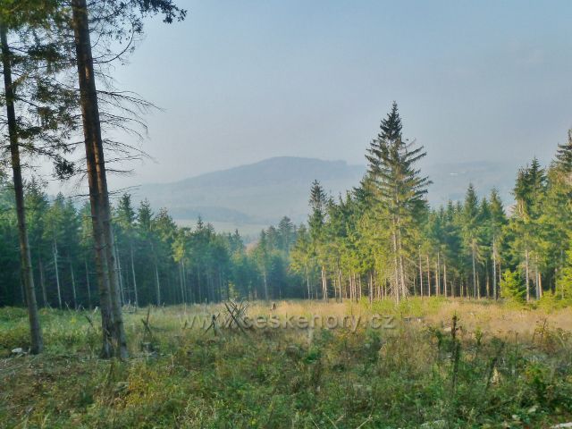 Mladkov - pohled z trasy NS Betonová hranice (po červené TZ) k vrchu Studený