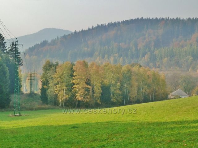 Mladkov - pastvina nad železniční stanicí. V pozadí Šibeniční vrch a vrch Studený