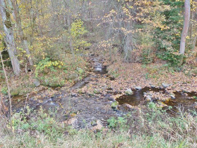 Malá Morava - ústí Vysokého potoka do řeky Moravy
