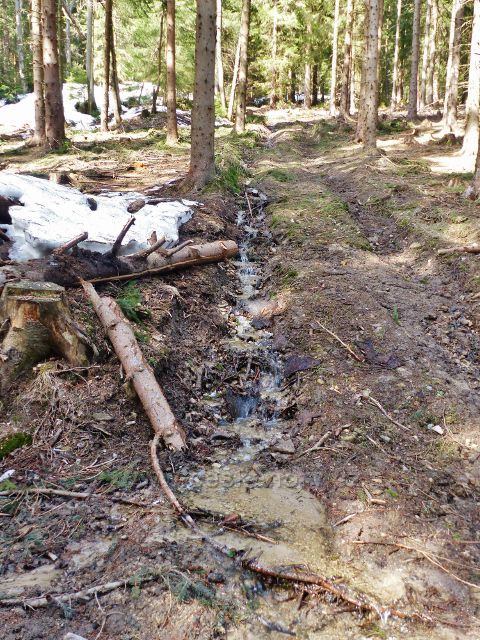 Sklené - jeden z mnoha lesních potůčků na svahu Chlumu odevzdává své vody Malé Moravě
