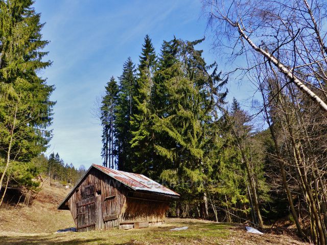 Dolní Morava - krmelec pro vysokou zvěř u lesní silničky na Dolní Moravu