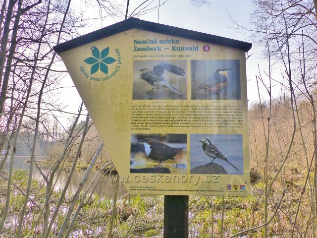 NS Žamberk-Kunvald,tabule 4.zastavení(ptačí společenství rybníka Dymlova a jeho okolí)