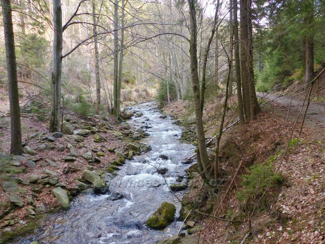 Jarní vody řeky Moravy