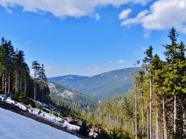 Pohled do údolí Moravy a na protější hřeben masivu Králického Sněžníku