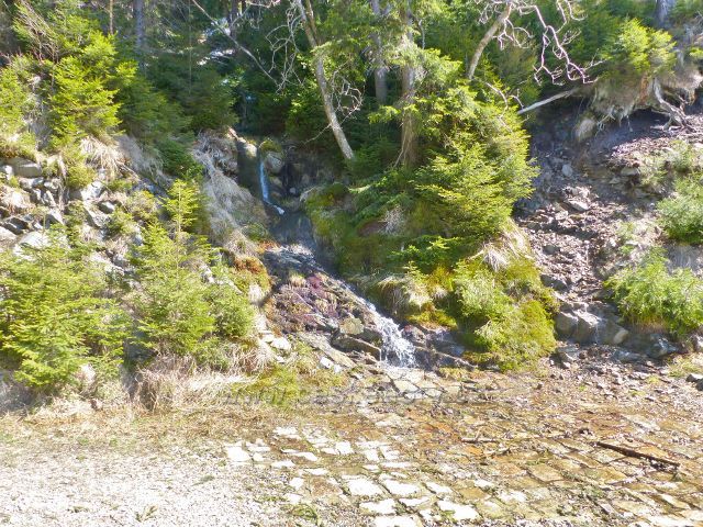 Kamenitý potok cca 150 m pod pramenem