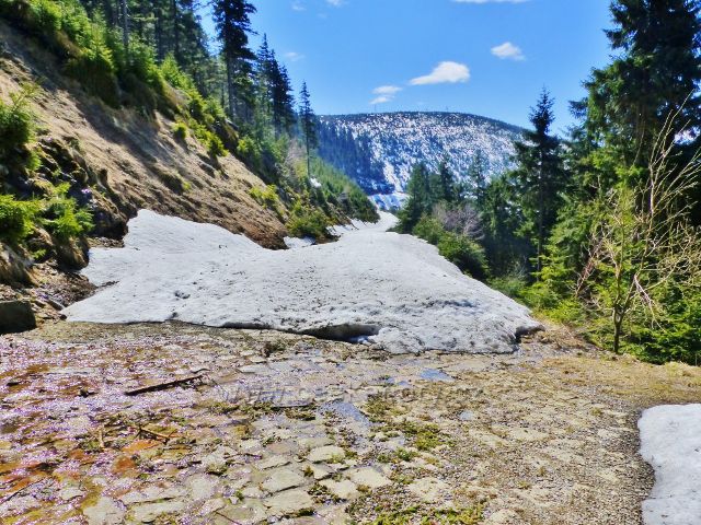 Kamenitý potok při překonávání vrstevnicové cesty odplavil veškerý sníh-Na obzoru Slamník