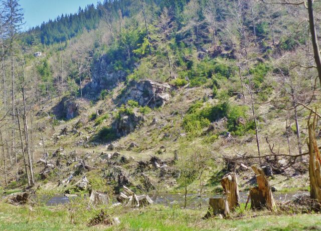 Odlesnění svahu nad levým břehem Divoké Orlice odkrylo nejen skalní výchozy,ale i pohled na protilehlý řopík