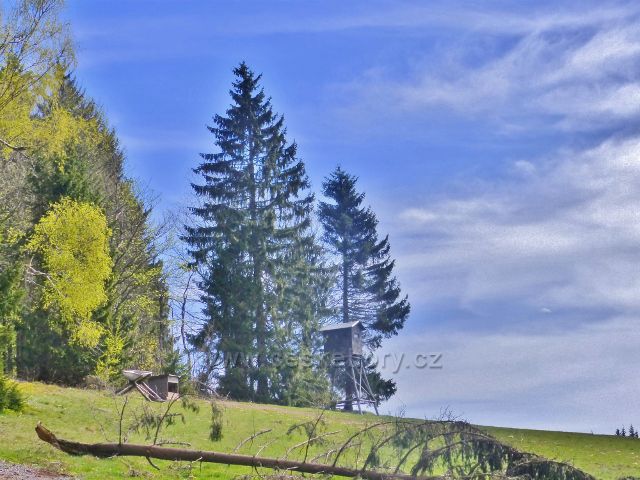 Posed a krmeliště zvěře na okraji lesa nad pastvinou Vrchní Orlice