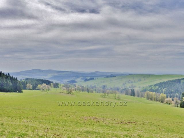 Pohled na pastviny Vrchní Orlice,na obzoru se rýsuje Bukovohorská hornatina se Suchým vrchem