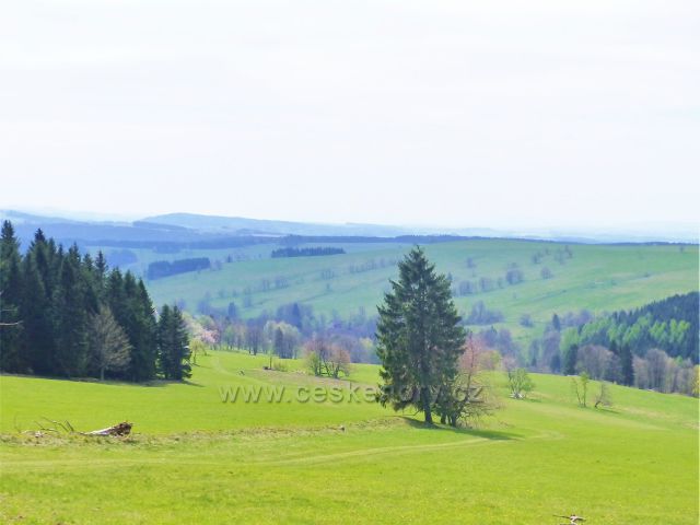 Pohled na pastviny Vrchní Orlice
