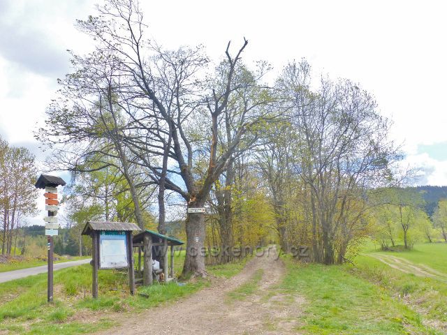 Turistický rozcestník"Horní Orlice(rozc.) 761 m.n.m."