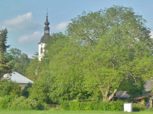 Potštejn - pohled k věži kostela sv. Vavřince