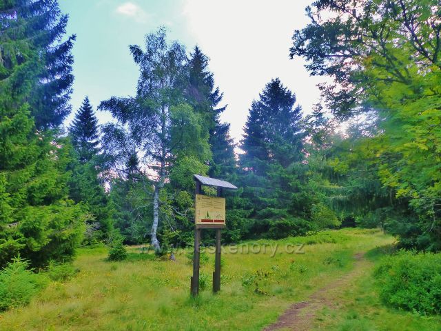 Rýchory - Dvorský les, panel na trase NS Rýchory Smrkové rodinky