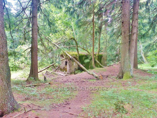 Rýchory - Dvorský les, řopík na trase NS Rýchory ukrytý v lesním porostu