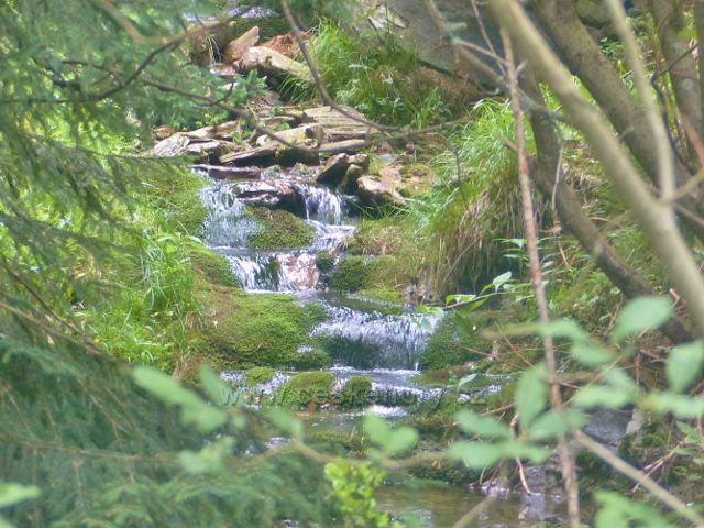Malá Úpa - Soví potok nad Sovím vodopádem