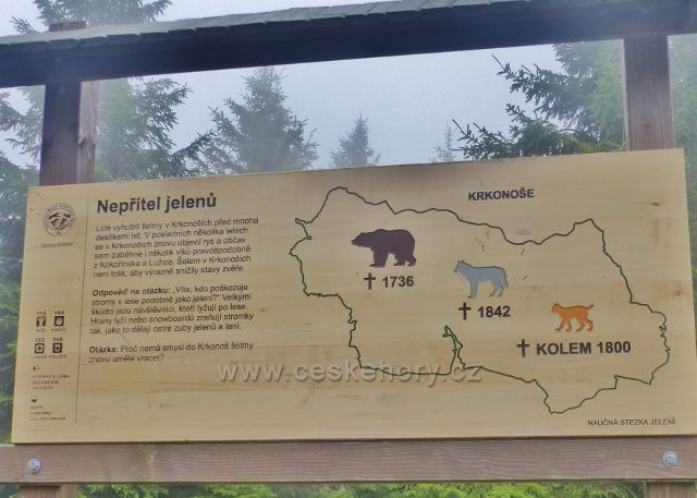 Horní Malá Úpa - Soví sedlo, panel informující o vyhynutí přirozených nepřátel jelení zvěře