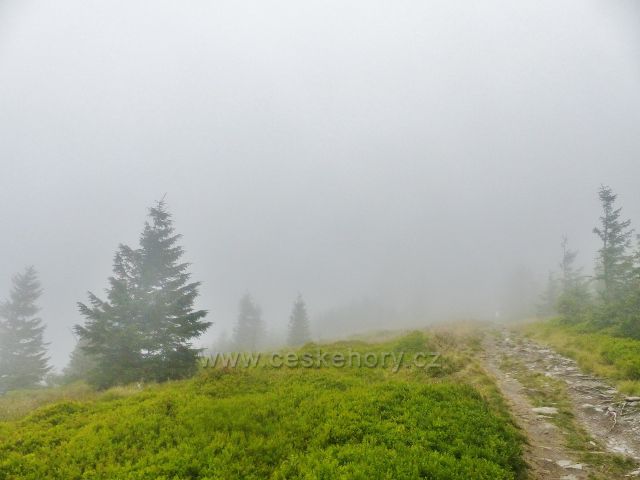 Horní Malá Úpa - mlha na hřebenové stezce k vrcholu Tabule