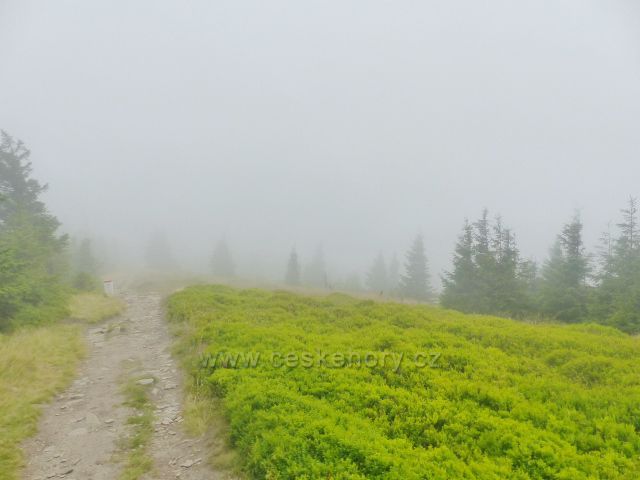 Horní Malá Úpa - borůvčí a mlha jsou průvodci trasy k vrcholu Tabule