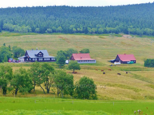 Horní Malá Úpa - pastviny v obci