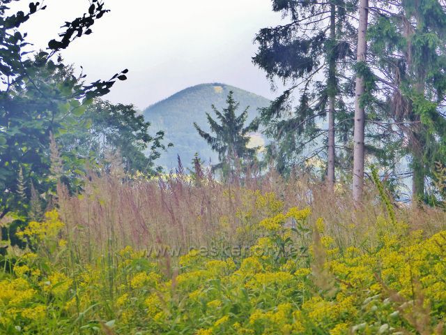 Žacléř - pohled z "Výhledů" z úbočí Horního lesa na Královecký Špičák