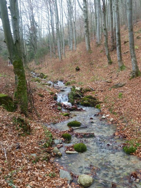 Kletná - potok Klešnica