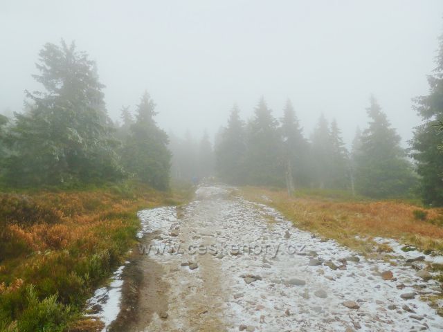 Cesta po zelené TZ ze Schroniska na Sniežniku k vrcholu Králického Sněžníku je poznamenána sněhovým popraškem