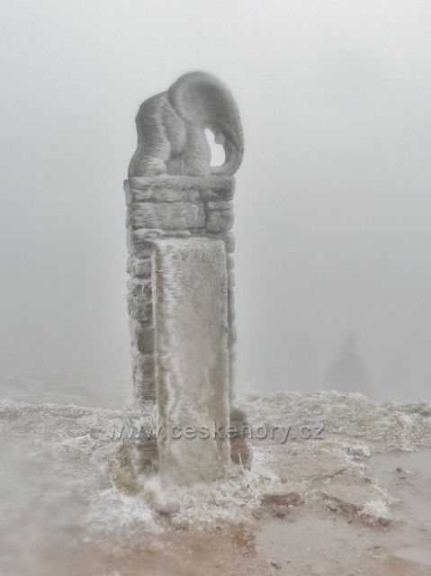 Králický Sněžník - socha slůněte před bývalou Lichtenštejnskou chatou je v bezmlžném období výhledpvým místem