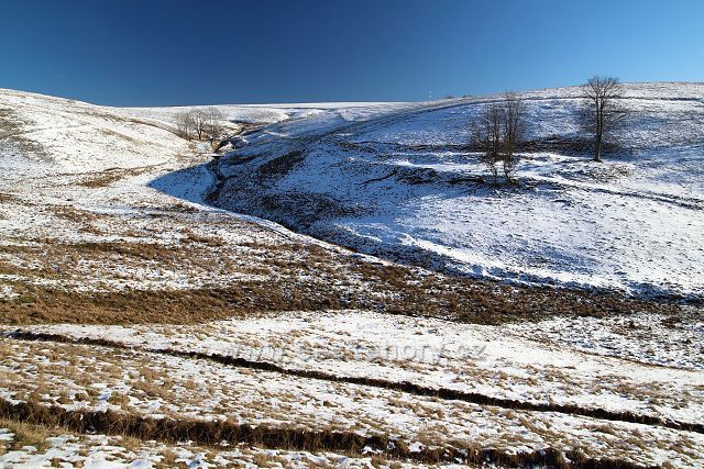 Pastviny na Moldavě