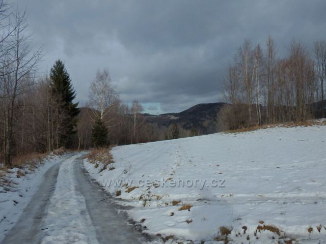 cesta na Šerák