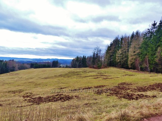 Malé Svatoňovice - pastviny Na Horách "přeryté" černou zvěří