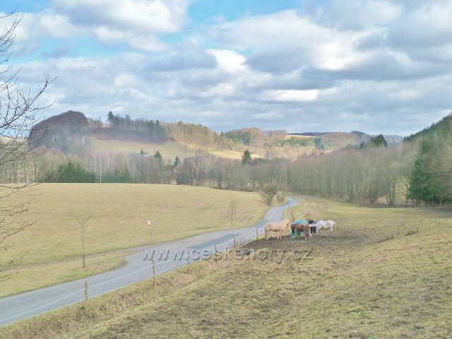 Kunvald - výběh koní nad údolím Rokytenky. V pozadí Krejsův kopec