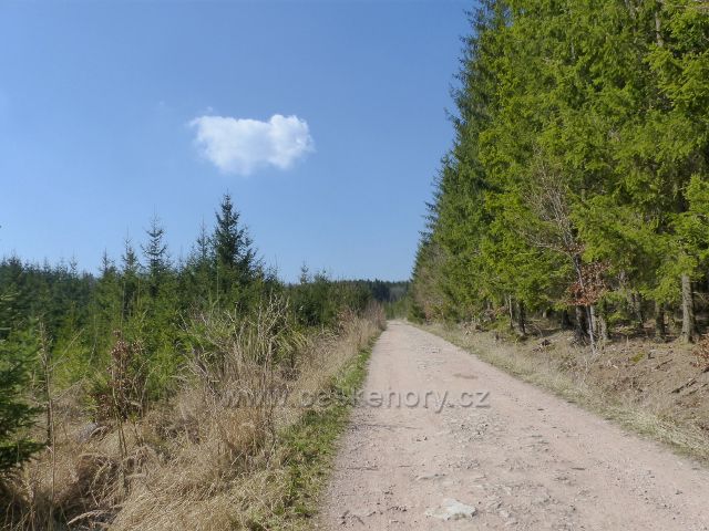 Helvíkovice - cesta po modré TZ do Bohousové pod Homolí