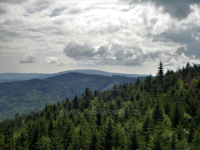 Zlatohorská vrchovina - v pozadí Příčný vrch