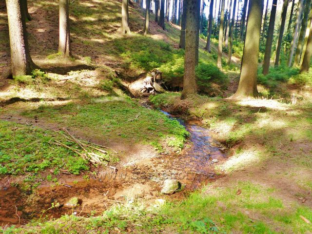 Dlouhoňovice - drobné meandry Horeckého potoka na úpatí Přímu
