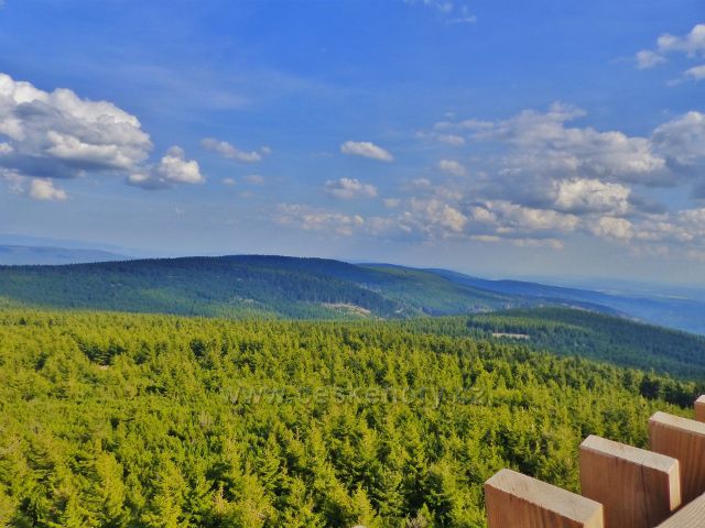 Pohled z rozhledny Velká Deštná k Sedloňovskému vrchu