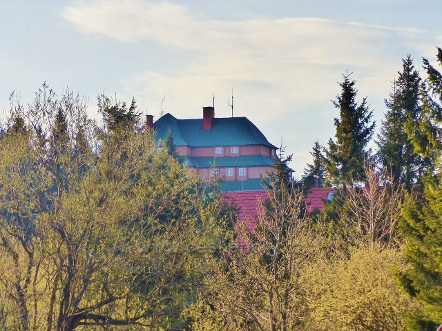 Pohled k Masarykově chatě z okraje lesa nad sedlem Šerlich
