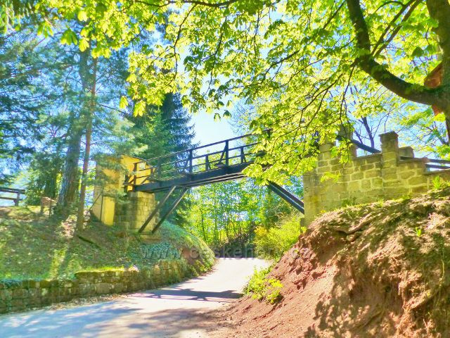 Mostek do arboreta v zámecké zahradě na Žampachu