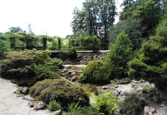 Arboretum Nový Dvůr alpinky