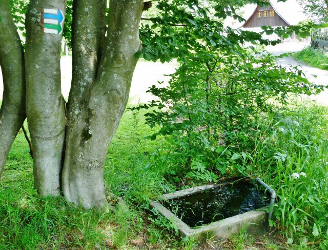 Rokytnice v Orlických horách - studánka Pod Farským kopcem