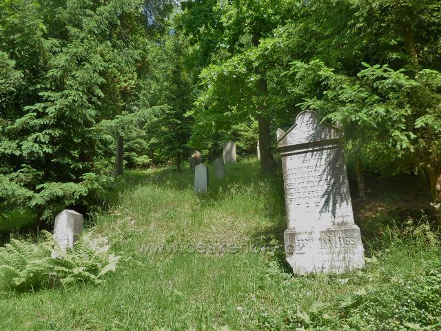 Rokytnice v Orlických horách - židovský hřbitov