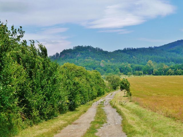 Bludov - cesta k Bludovečku po zelené TZ. V popředí vystupuje vrch "Na Starém Zámku" (460 m.n.m.)