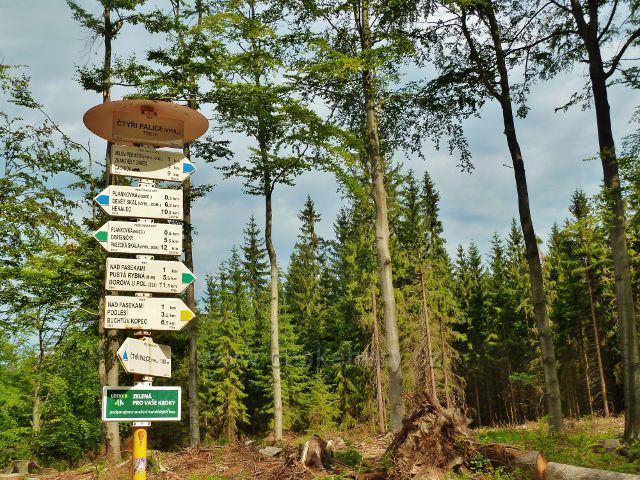 České Milovy - turistický rozcestník "Čtyři palice(vyhl.)732 m.n.m."