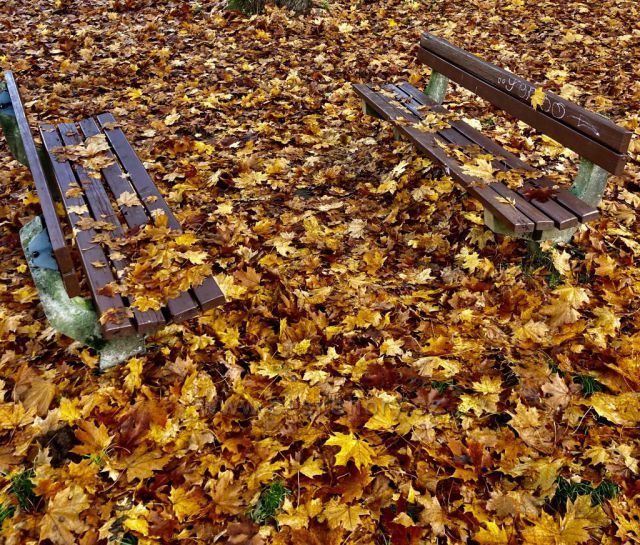 Podzimni lavičky
