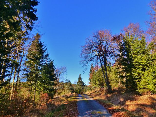 Orlické hory - Bunkrovka na úbočí Homole