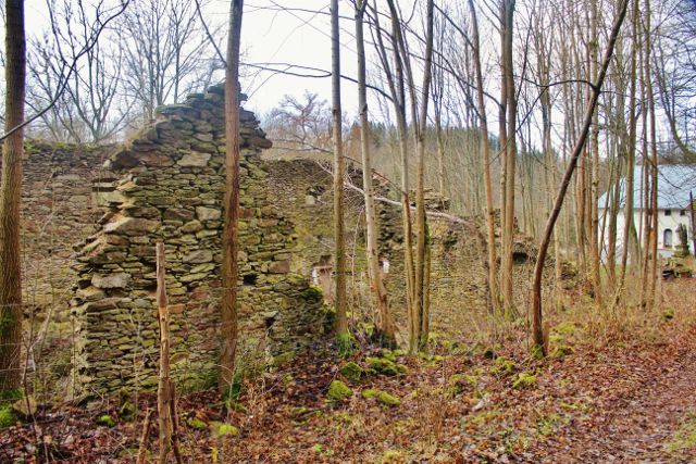 Niemojów - ruiny zámečku chátrajícího od roku 1945 až do současnosti