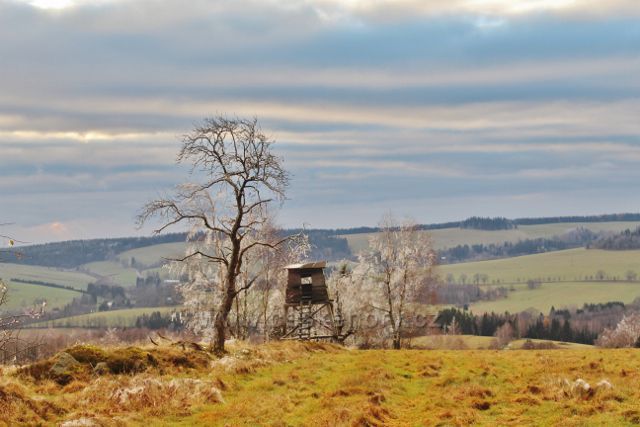 Niemojów - pohled z okraje lesa na horní část Bartošovic v O.h.