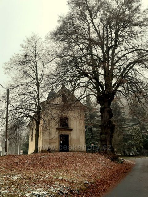 Kaple Patronů Čech s chráněnou lípou